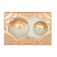 Bvlgari Aqva Divin Roma for Women (Rinkinys moterims) EDT 65ml +15ml EDT