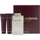 Dolce & Gabbana Pour Femme for Women (Kvepalai Moterims) EDP 100ml 